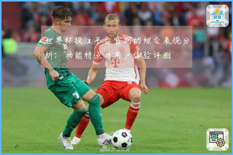 世界杯投注平台官网的综合表现分析：功能特点与用户体验评测