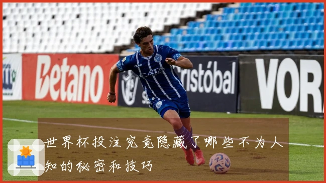 世界杯投注究竟隐藏了哪些不为人知的秘密和技巧