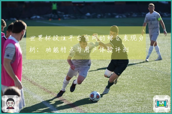 世界杯投注平台官网的综合表现分析:功能特点与用户体验评测