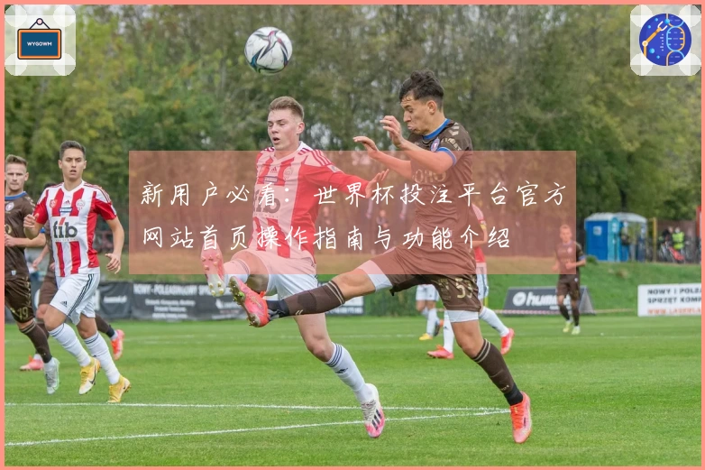 新用户必看：世界杯投注平台官方网站首页操作指南与功能介绍
