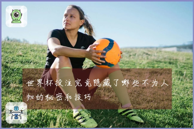 世界杯投注究竟隐藏了哪些不为人知的秘密和技巧