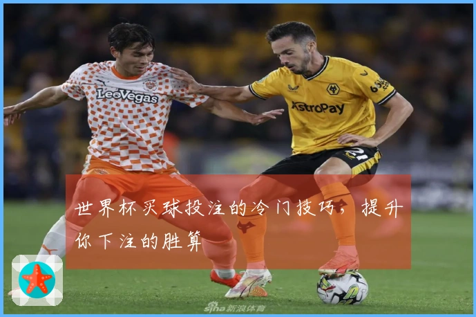 世界杯买球投注的冷门技巧，提升你下注的胜算