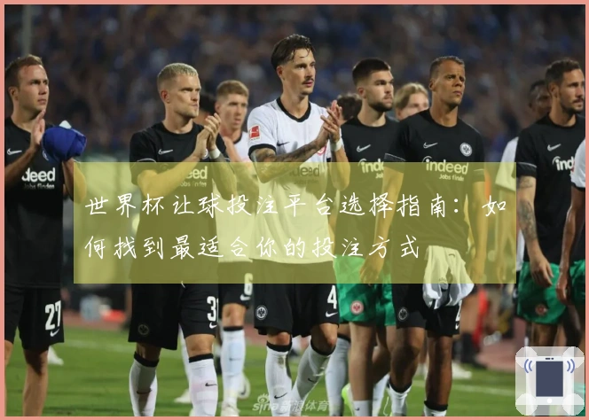 世界杯让球投注平台选择指南：如何找到最适合你的投注方式