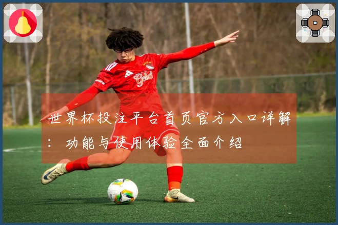 世界杯投注平台首页官方入口详解：功能与使用体验全面介绍