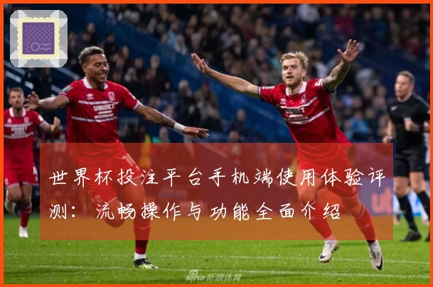 世界杯投注平台手机端使用体验评测:流畅操作与功能全面介绍